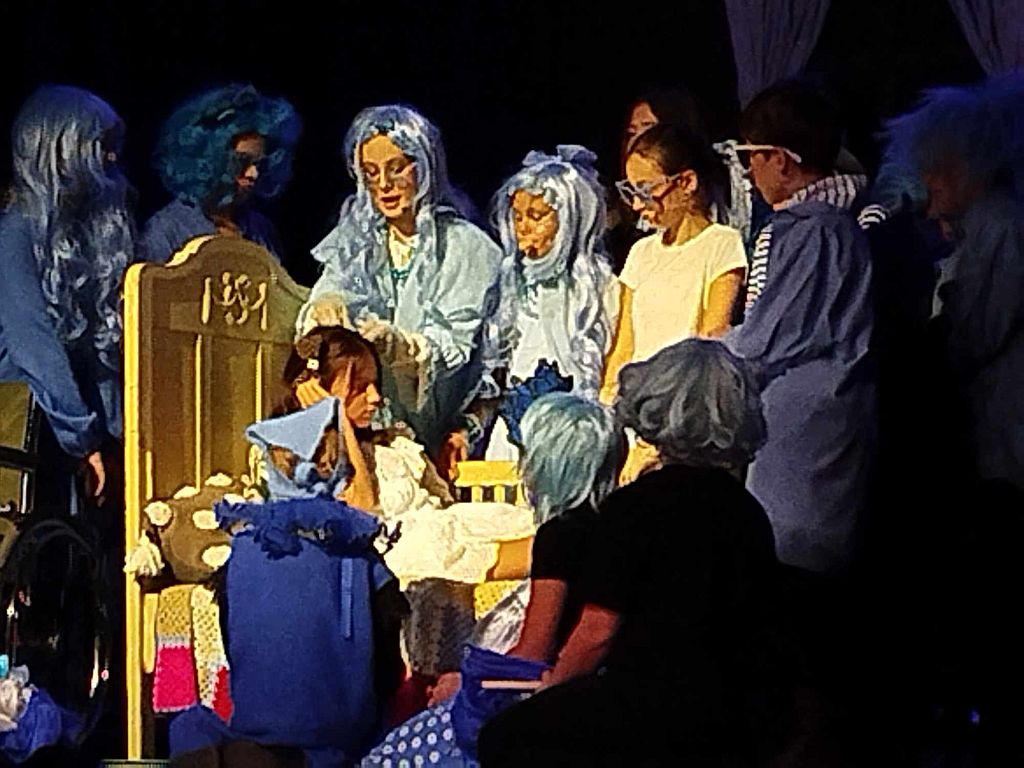 Chabrowy, modry, błękitny…. znaczy bez barier, czyli spektakl teatralny „Marianna i modraszki”