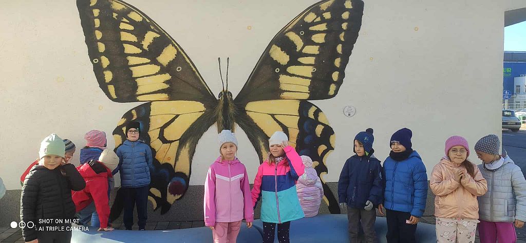 Szlakiem owadzich murali