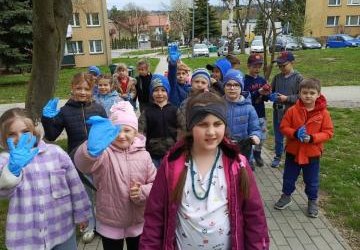 Świetliki sprzątają okolicę