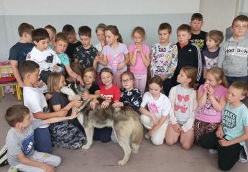 Czy pies może ugryźć?